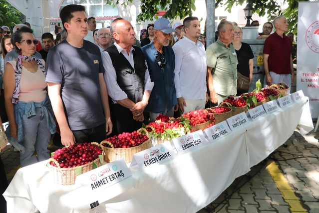 Tekirdağ'da 60. Kiraz Festivali Başladı