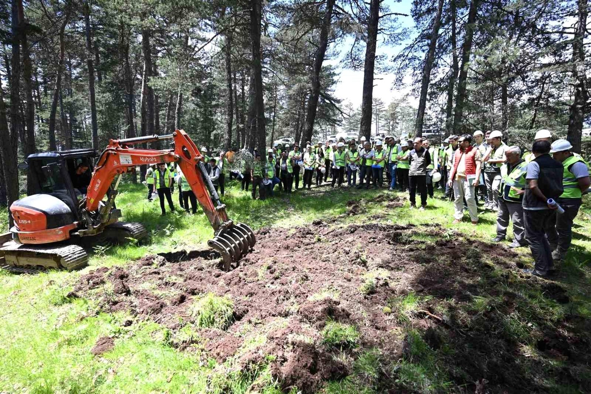Silvikültür Eğitimi Vezirköprü\'de Gerçekleşti