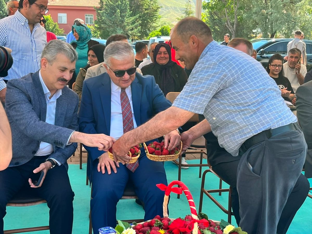 Aksaray\'da 690 Bin Çilek Fidesi Dağıtımı
