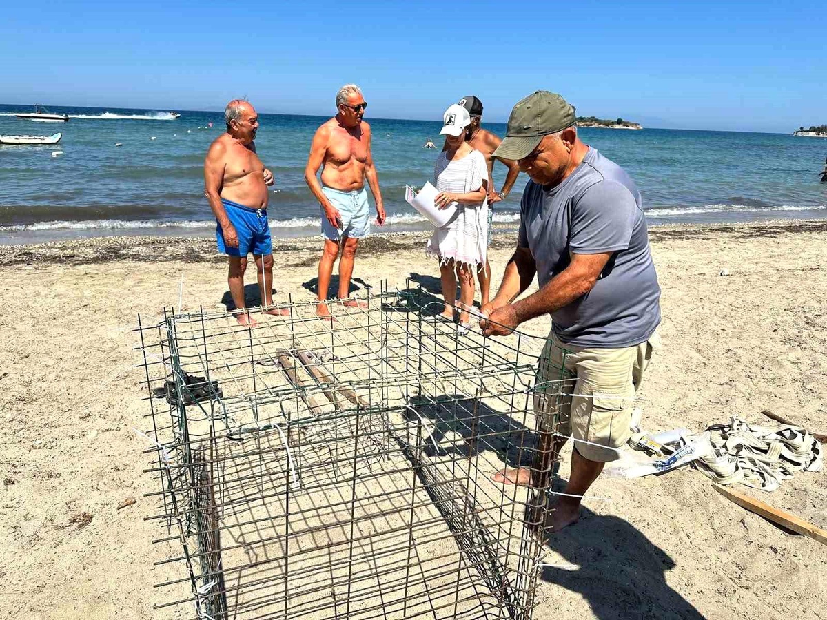 Didim\'de ikinci caretta yuvası koruma altına alındı