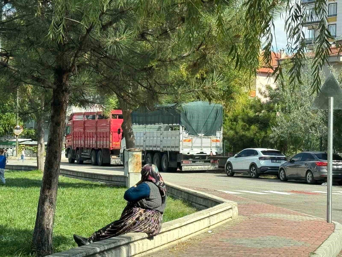 Tır ve Kamyon Denetimleri Artıyor