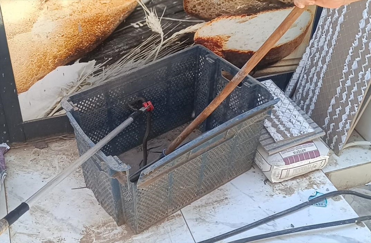 Ekmek Sandığında Yılan Yakalandı