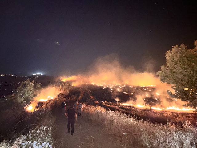 Hatay'da korkutan yangın: 200 dönümlük zeytinlik alanı kül oldu