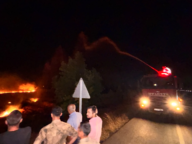 Hatay'da korkutan yangın: 200 dönümlük zeytinlik alanı kül oldu