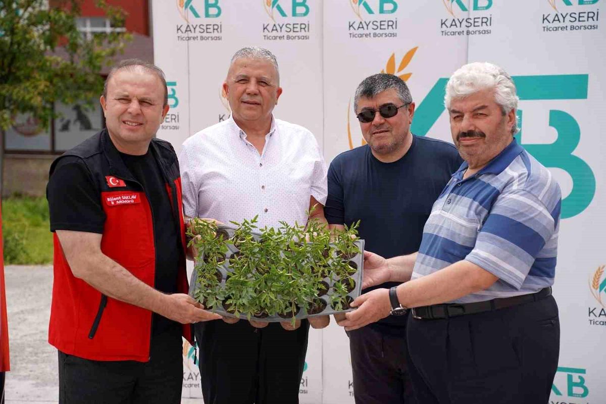 Kayseri\'de 30 bin fide dağıtıldı