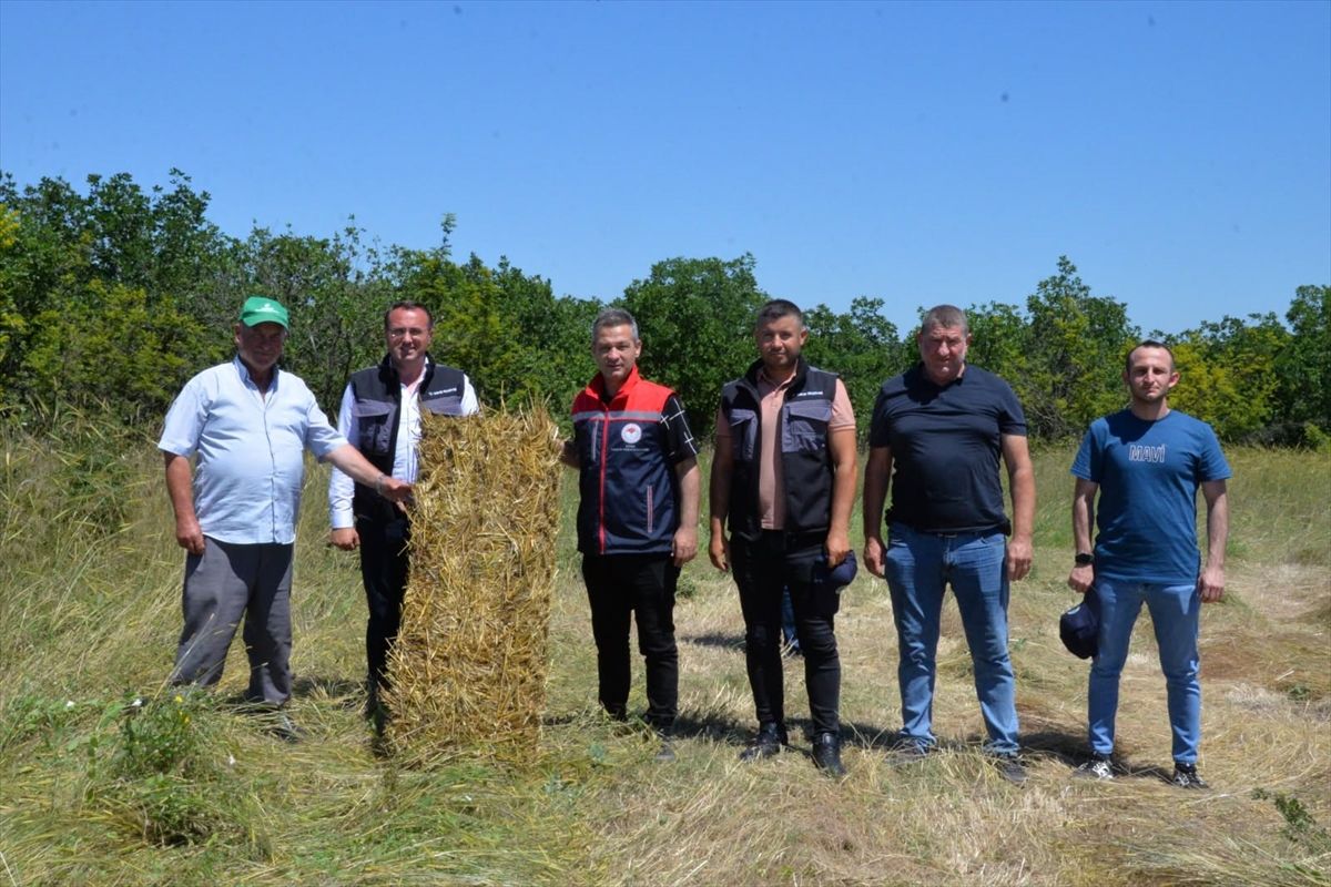 Meriç\'te Kaba Yem Balyalama Çalışması