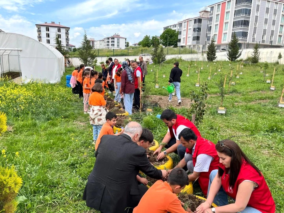 Öğrenciler Lavanta Bahçesi Oluşturdu
