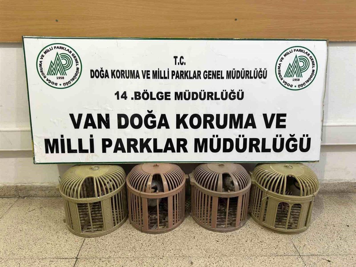 Kaçak Avcılığa 51 Bin TL Ceza