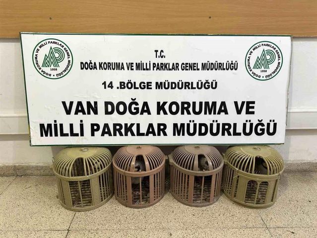 Kaçak Avcılığa 51 Bin TL Ceza