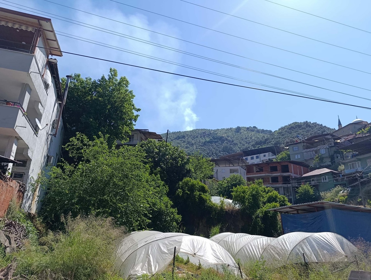 Nazilli\'de Yangın: 2 Dönüm İncir Bahçesi Zarar Gördü