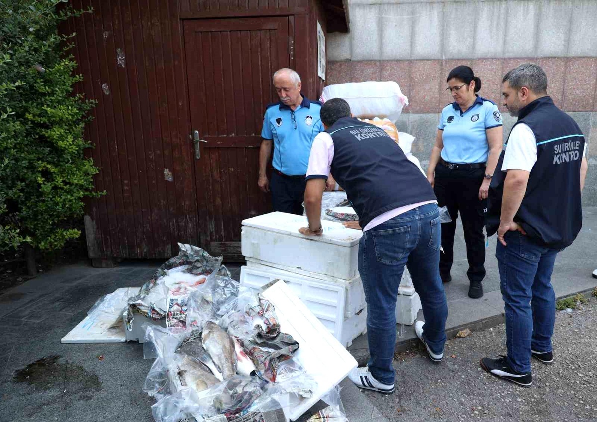 Antalya Otogarı\'nda balık operasyonu: 260 kilo ele geçirildi