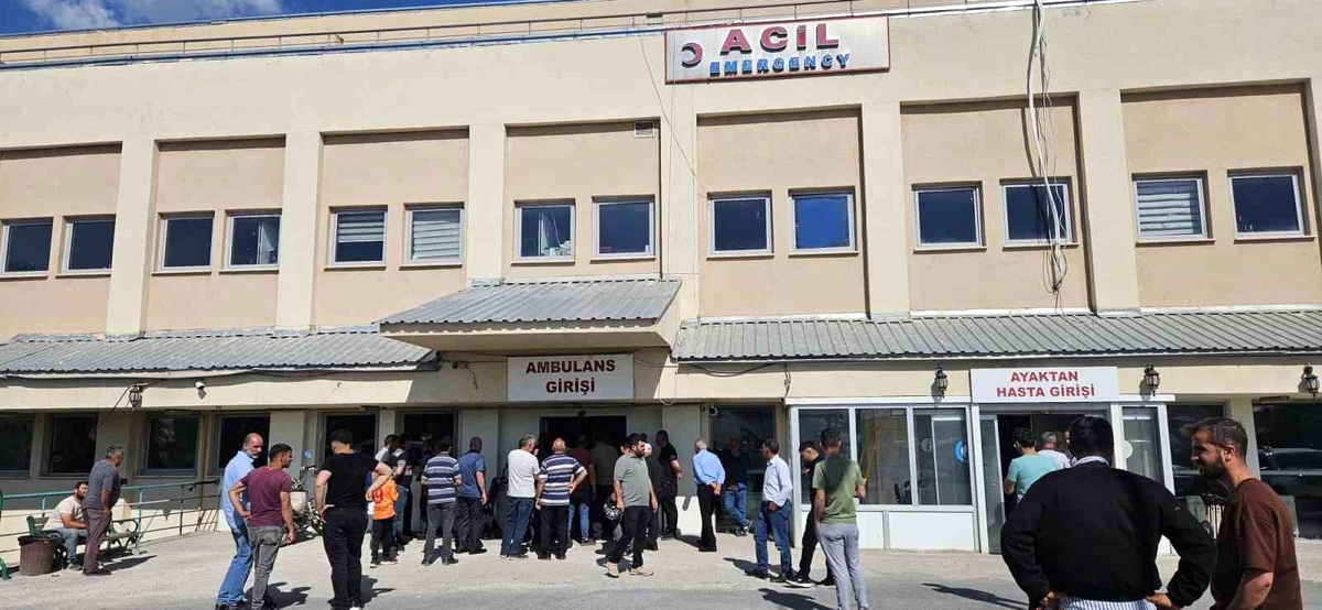 Muş\'ta Trafik Kazası: 1 Ölü, 1 Yaralı