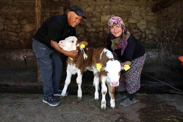 Buzağılar ‘Yıldız’ ve ‘Tilbe’ Adını Aldı