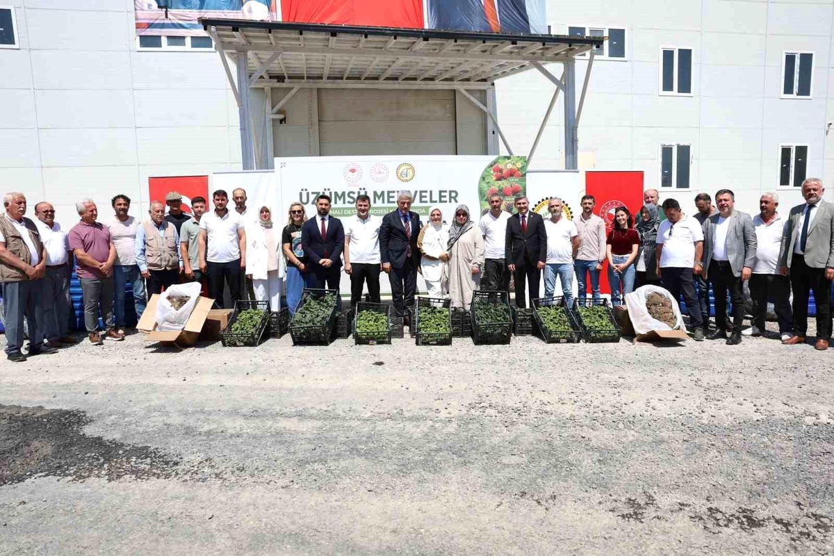 Düzce\'de Çiftçilere Fide ve Sulama Sistemi Desteği