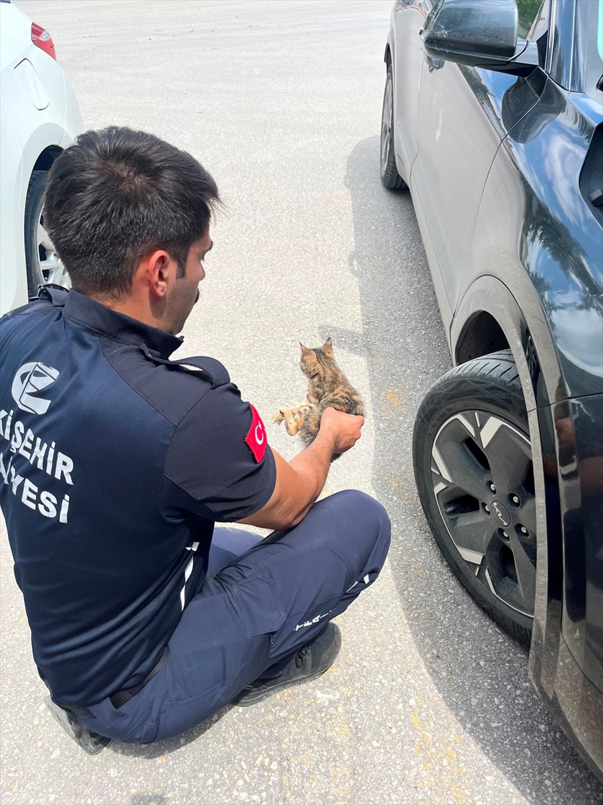 Kedi Yavrusu Motor Bölgesinden Kurtarıldı