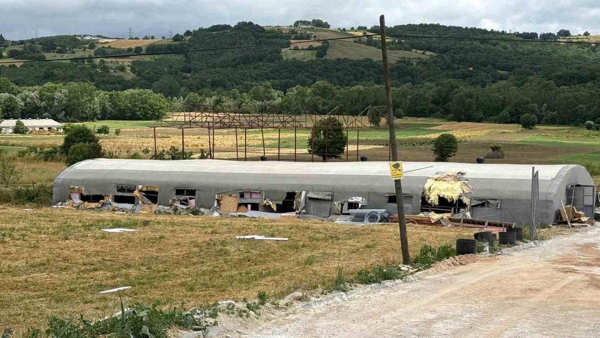 Kaynarca\'da Yangın: 5 Kuzu Telef, Bin Balya Yok Oldu