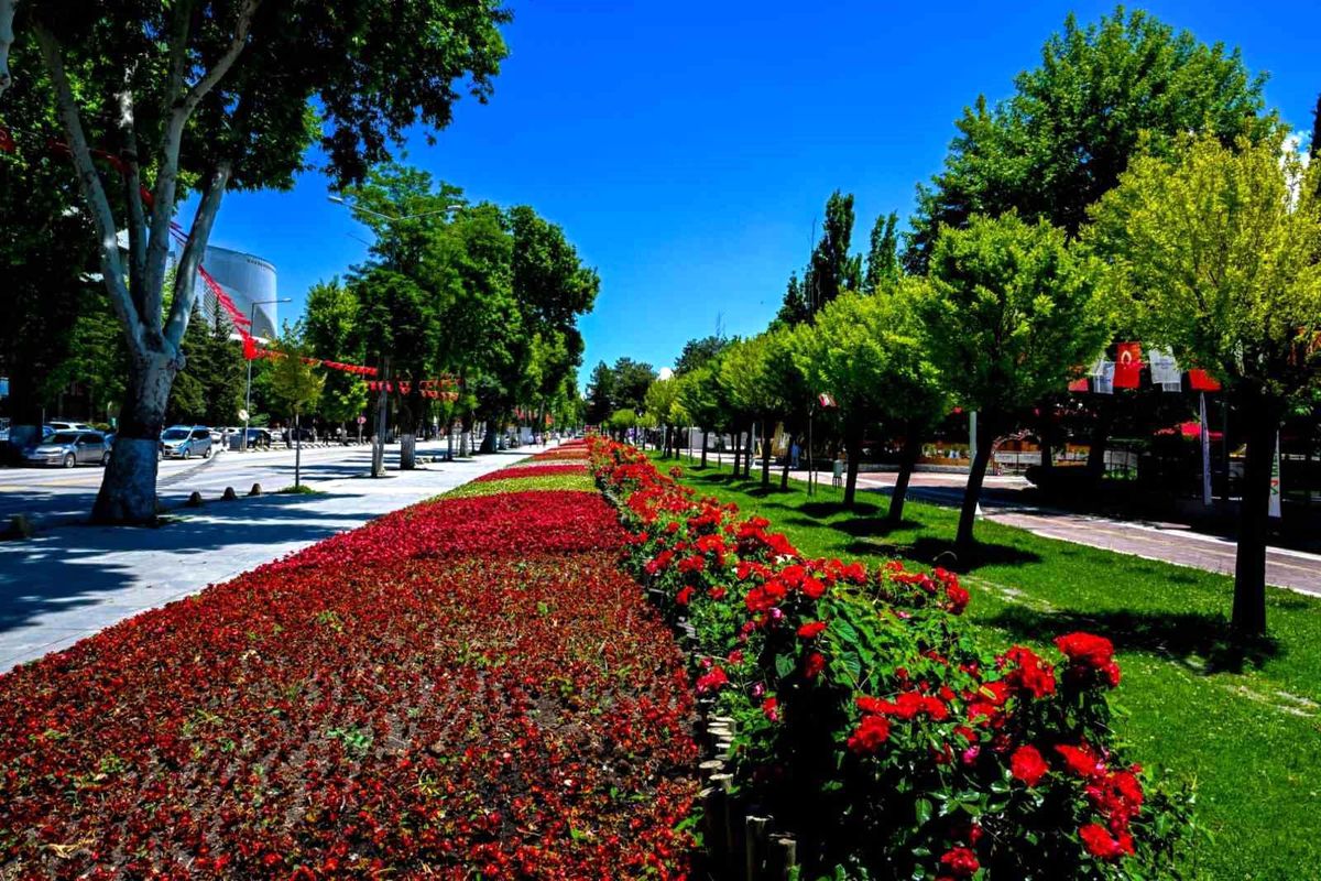 Malatya\'da park ve kavşaklar çiçeklerle süslendi