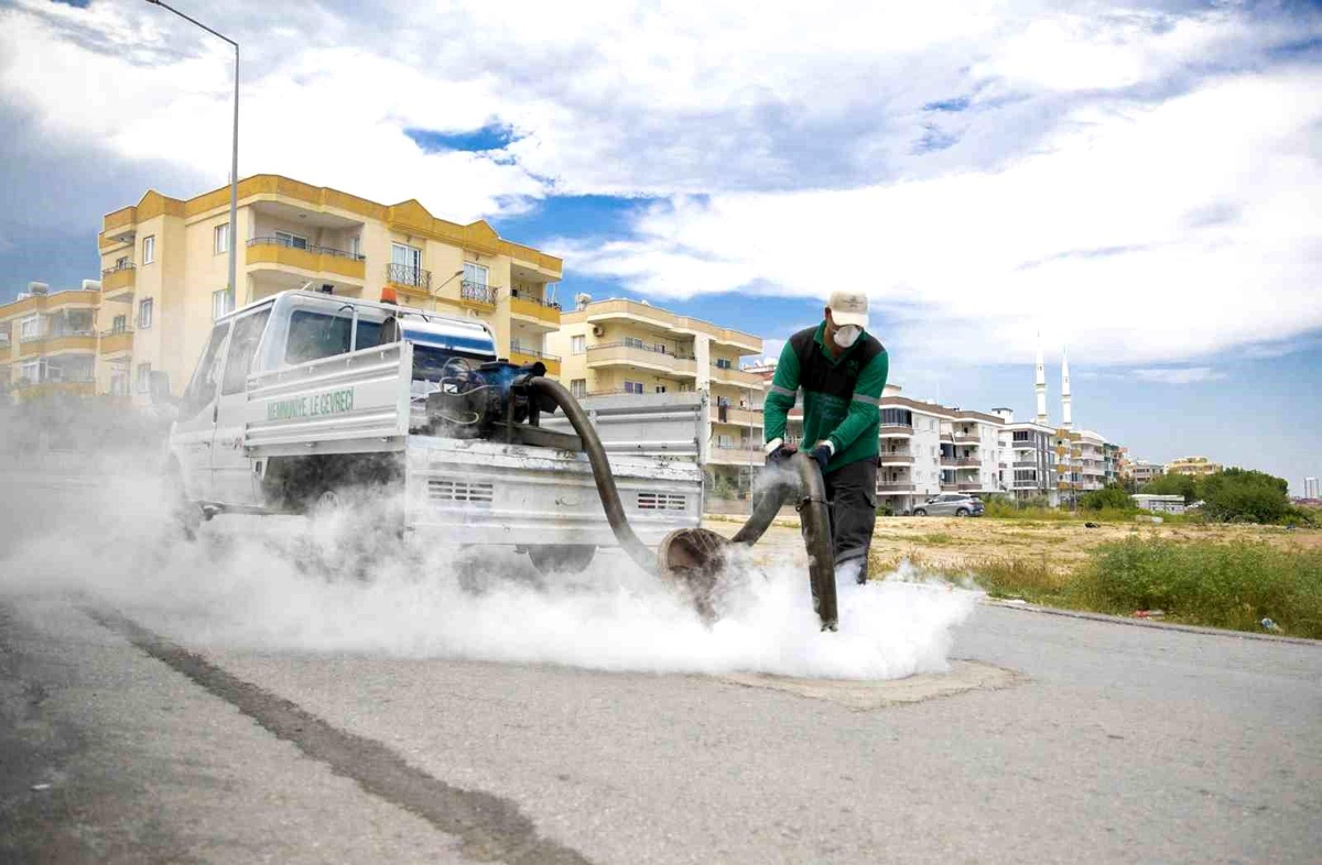 Mersin\'de sinek ve haşerelere karşı yoğun mesai