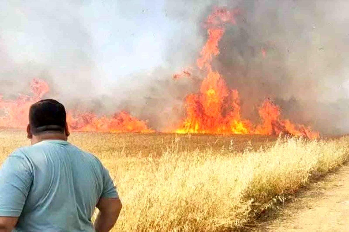 Harran\'da Buğday Tarlasında Yangın!
