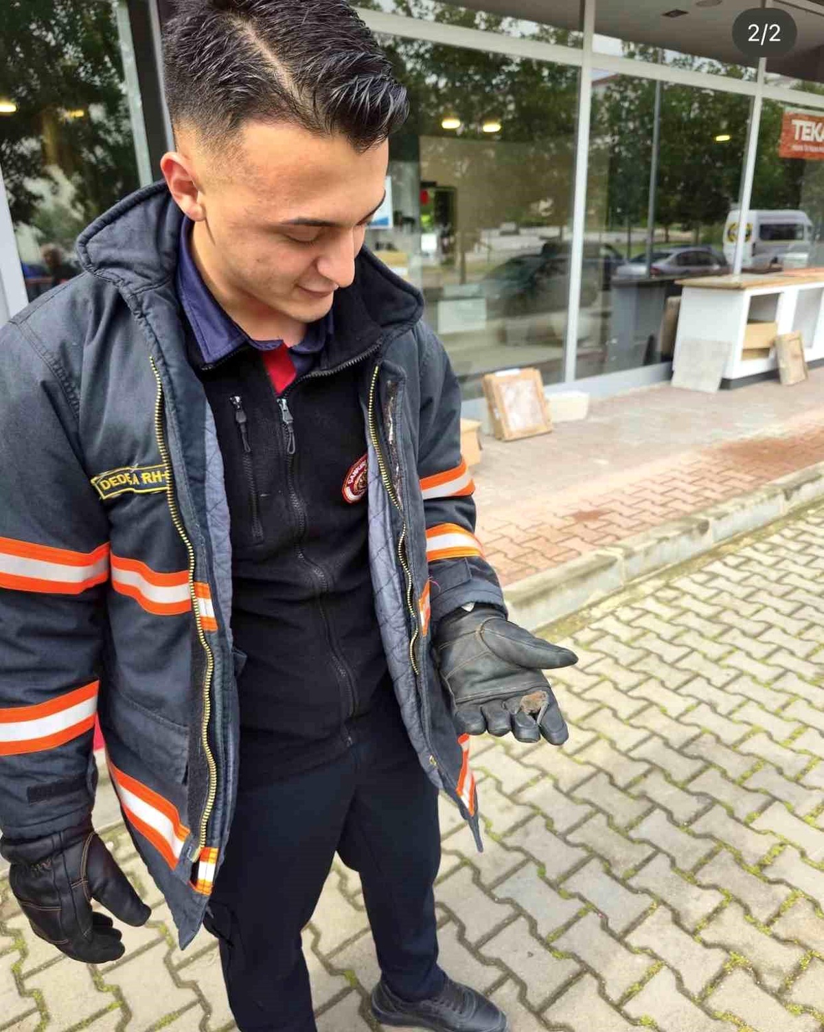 Yaralı Yavru Yarasa Kurtarıldı