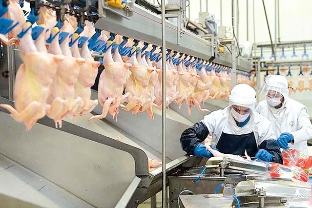 Beyaz et soruşturmasında gözaltına alınan 29 şüpheliye adli kontrol