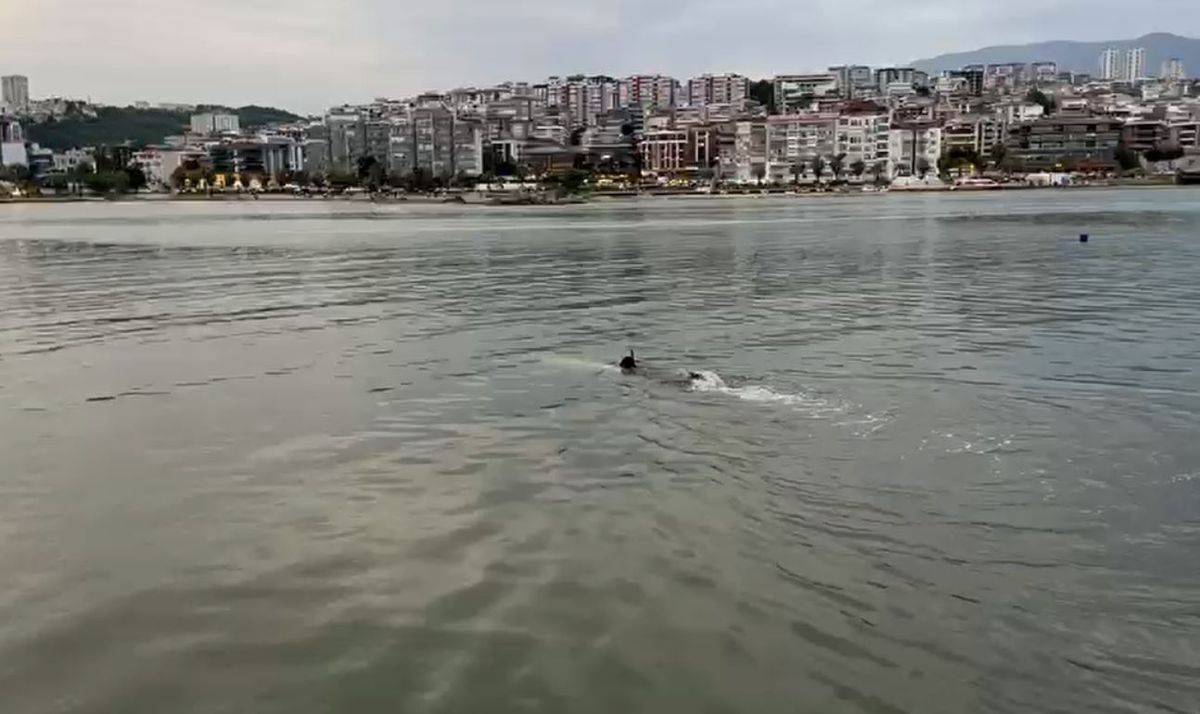 Deniz Kıyısında Kıyafet İhbarı