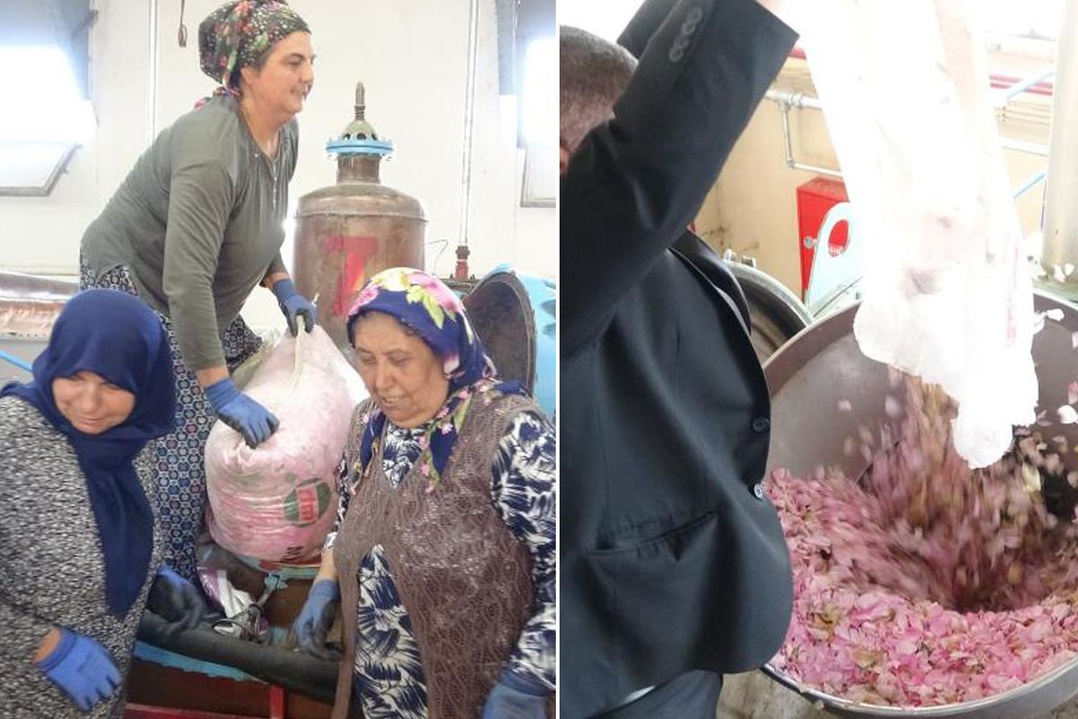 Isparta\'nın pembe hazinesi! Kilosu 650 bin liraya alıcı buluyor
