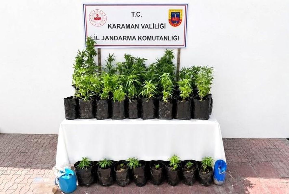 Karaman\'da Kenevir Operasyonu