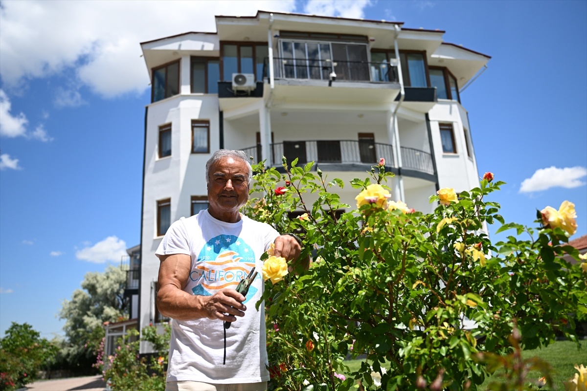 Almanya\'dan Gül Bahçesine