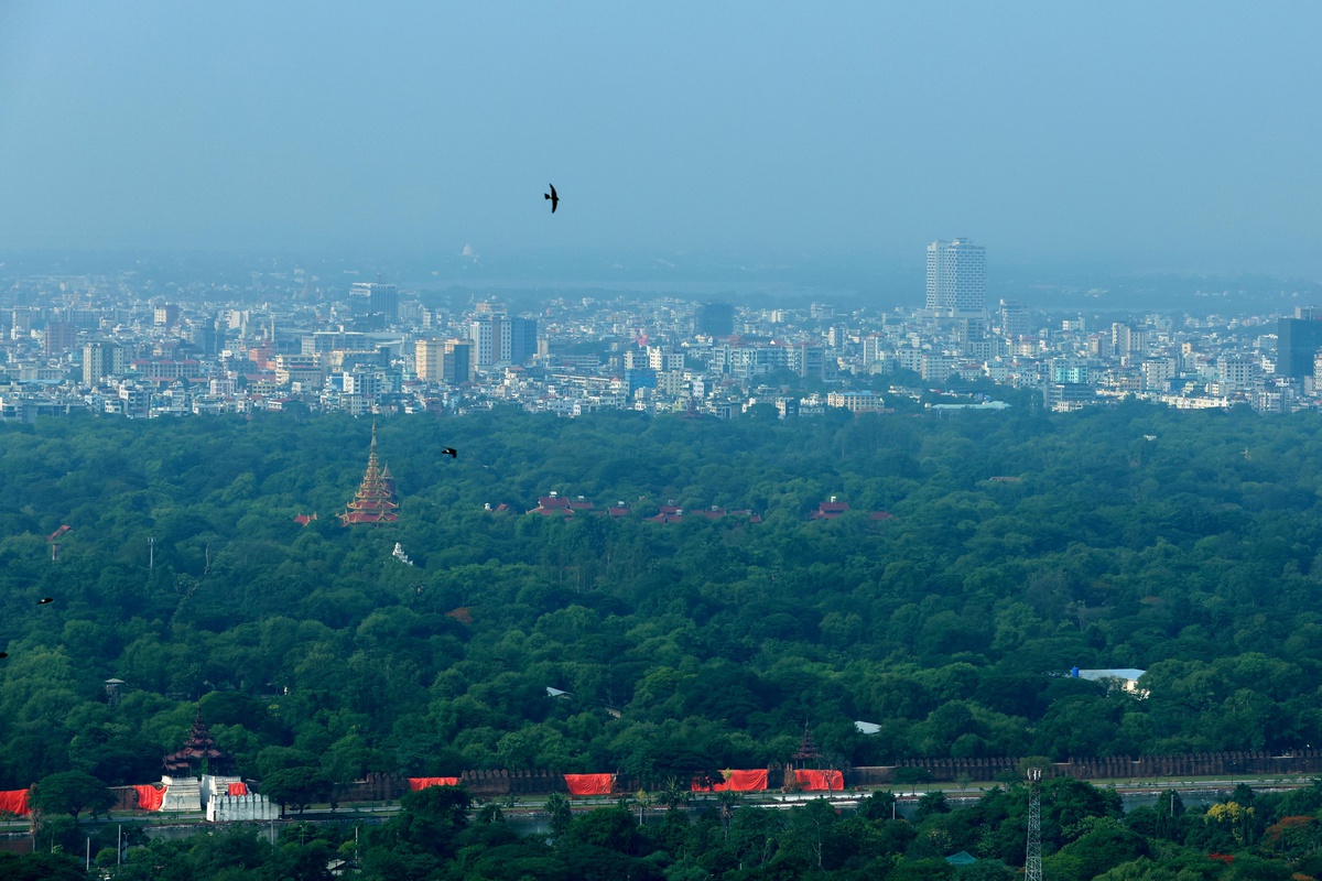 Myanmar, 21 Milyon Fidan Dikecek