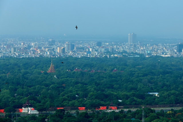 Myanmar, 21 Milyon Fidan Dikecek