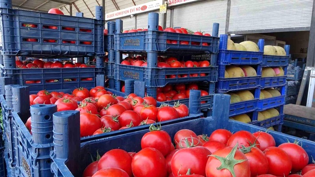 Domates Fiyatları Hatay’da 15 TL’ye Düştü