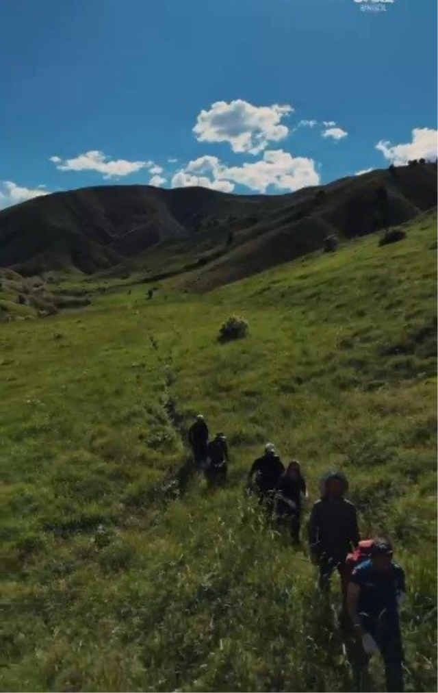 Tunceli'de ayı saldırısı: 3 yaralı