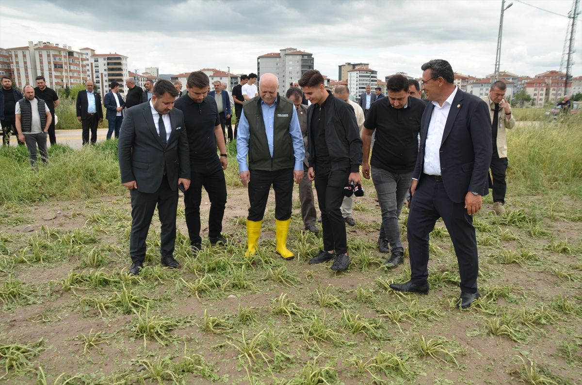 Kahramankazan\'da Doludan Zarar Gören Tarım Arazileri İncelendi