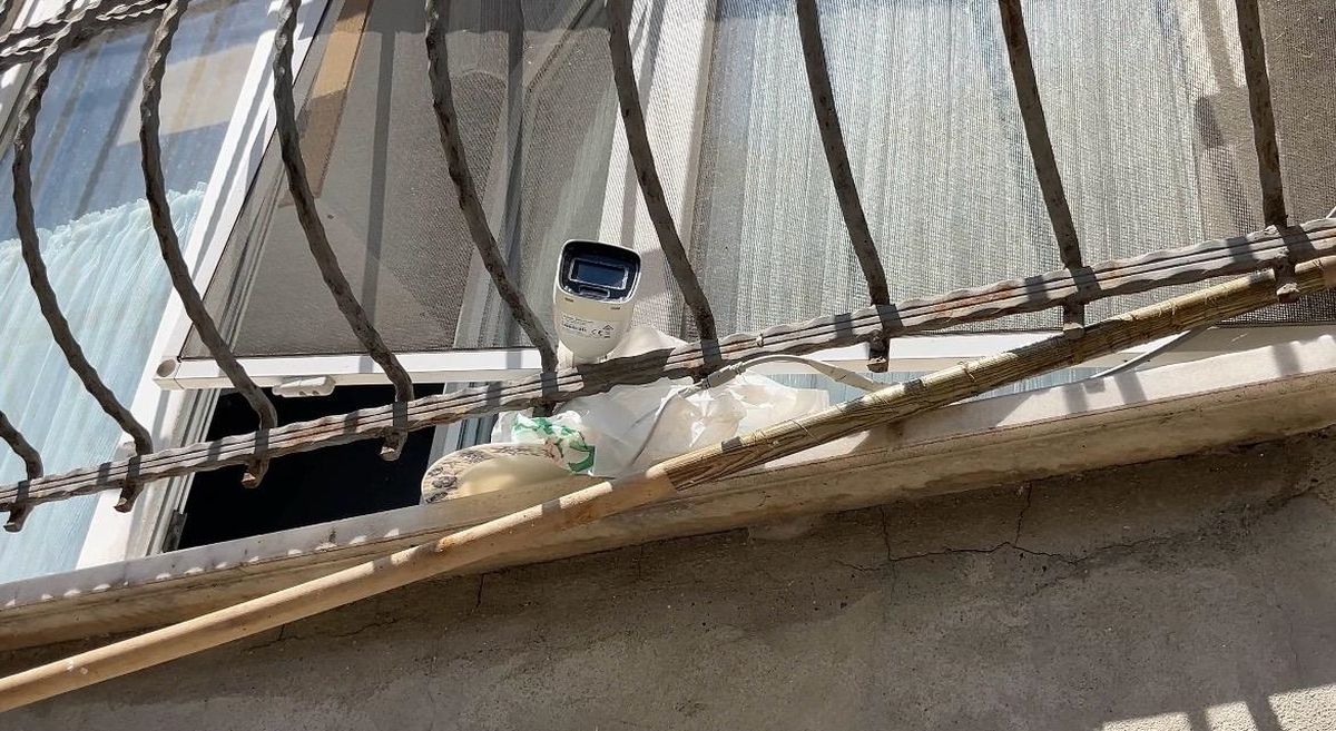 Karga yumurtaları çaldı