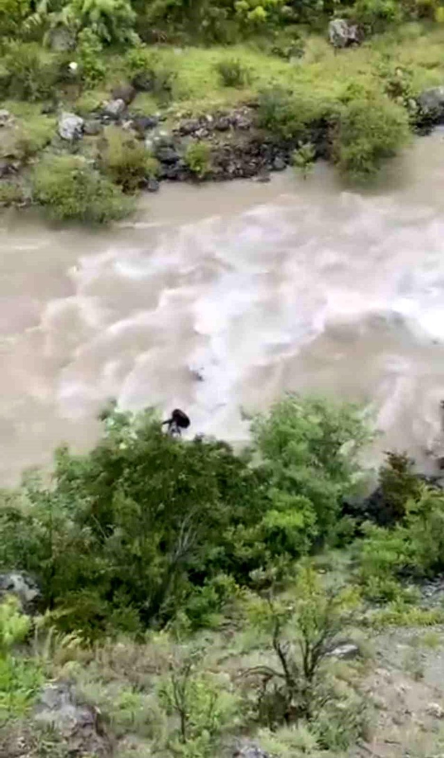 Şavşat’ta Araç Çoruh Nehri’ne Uçtu