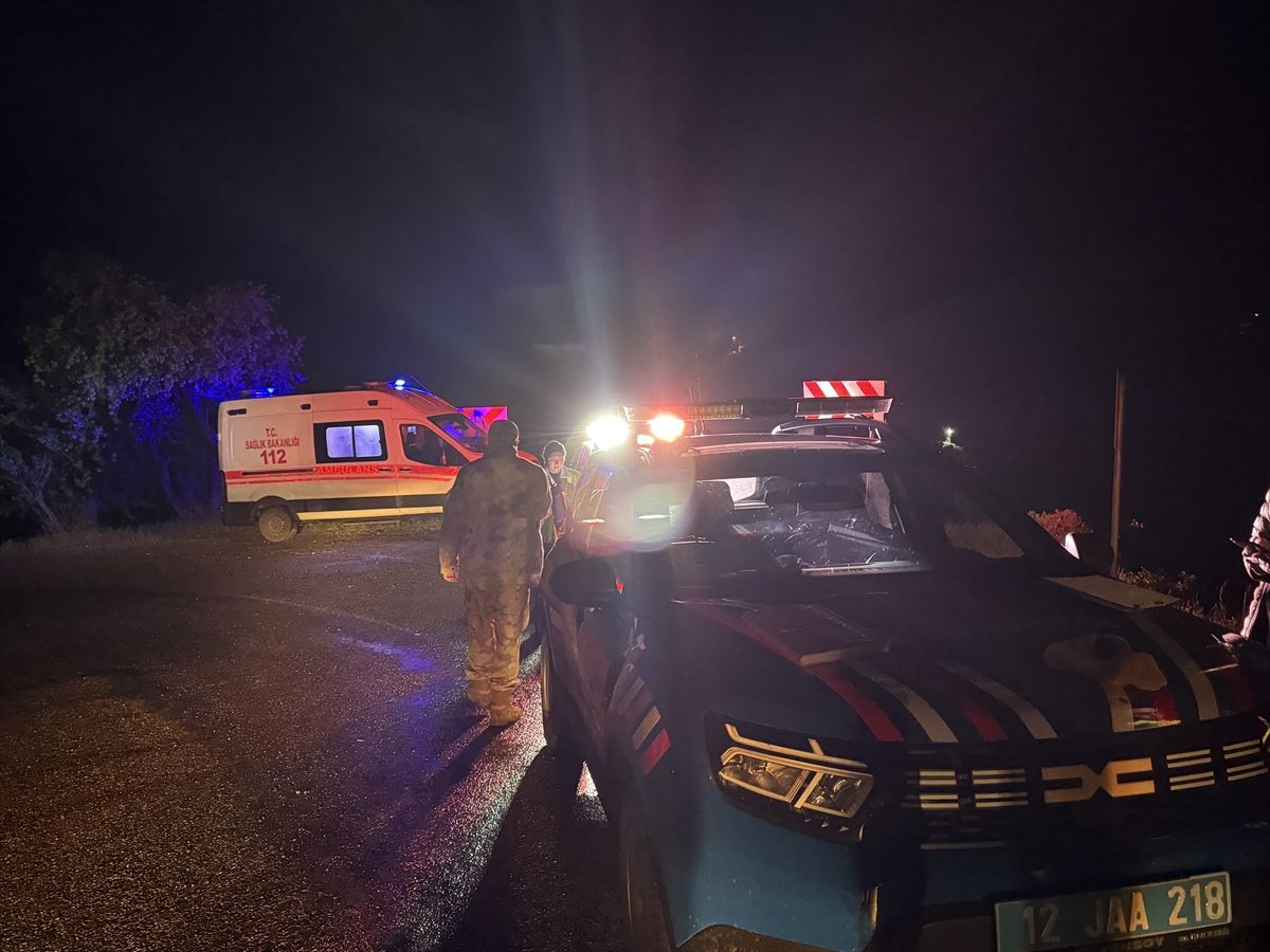 Bingöl\'de Trafik Kazası: 1 Ölü, 1 Yaralı