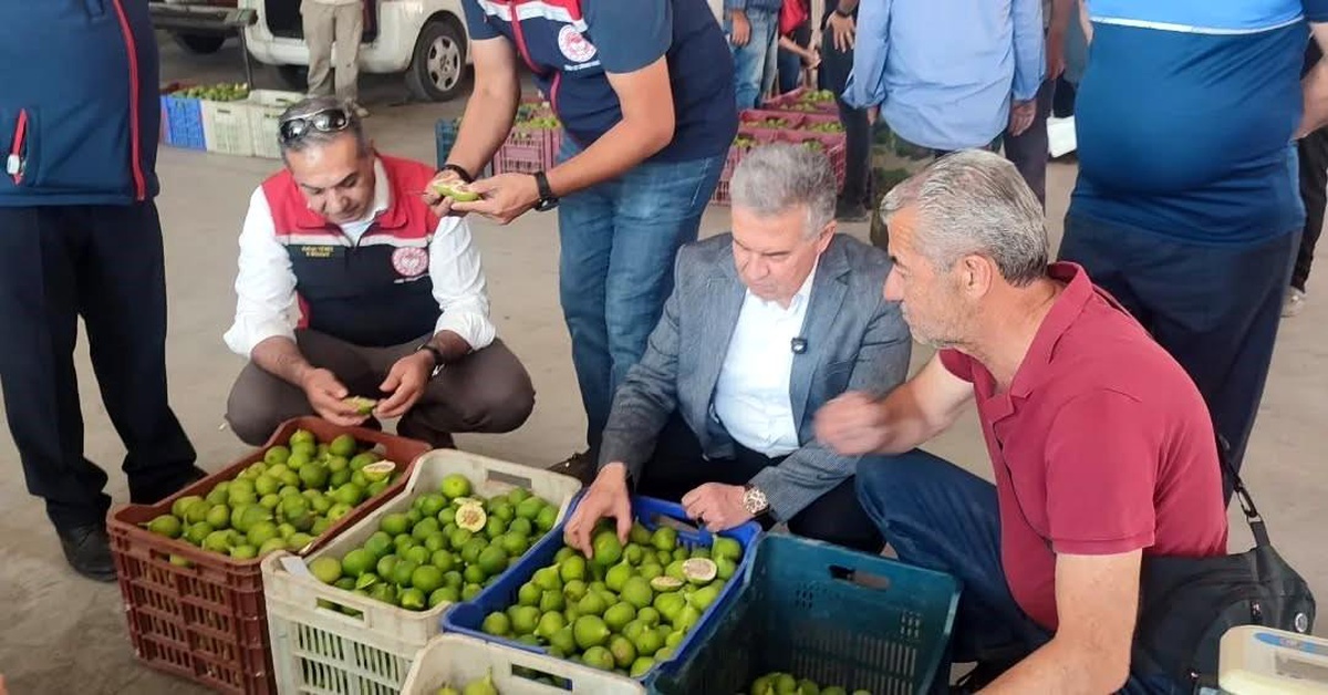 Buharkent\'te ilekler, tezgahta incelendi