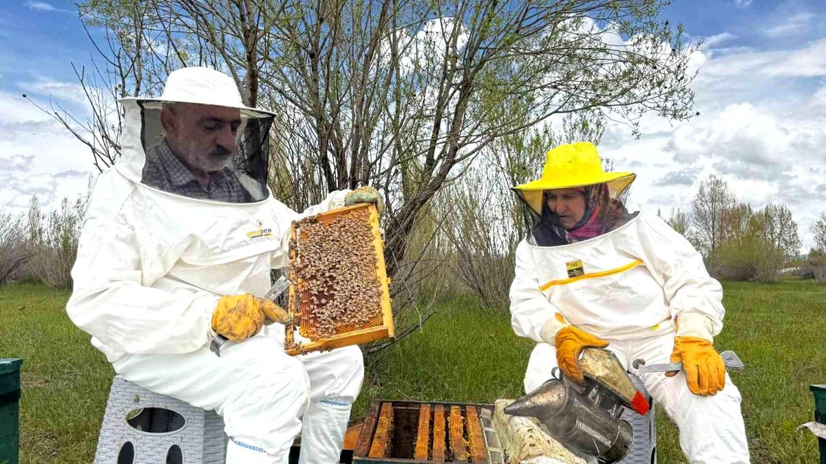 Ağrı\'da Arıcılıkta Hedef 2 Ton Bal