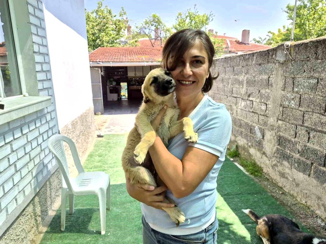 Eskişehir’de Gönüllüler Hayvanları Kurtarıyor
