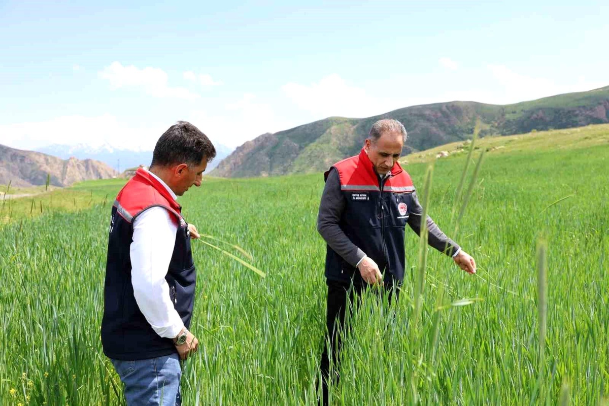 Kars\'ta Tarımsal Üretim Değerlendirildi