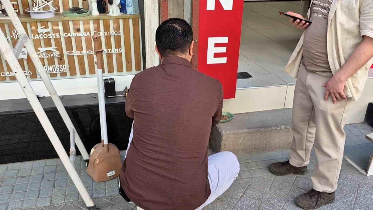 Esnaf, Yavru Kediye Umut Oldu