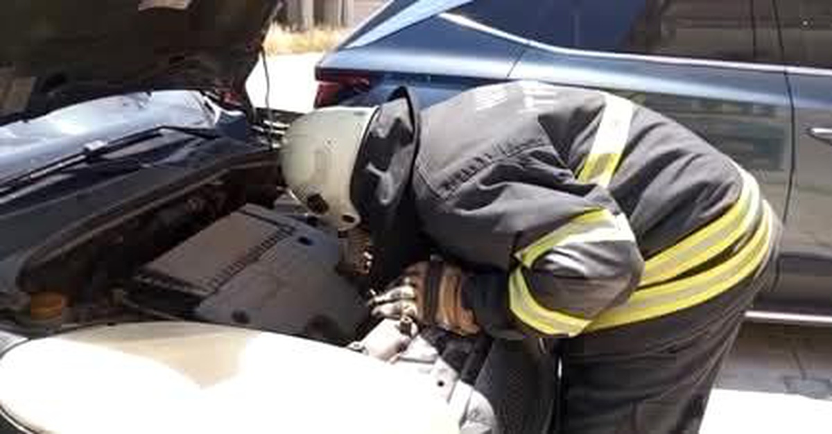 Arsuz\'da aracın motor kısmına giren yavru kedi kurtarıldı