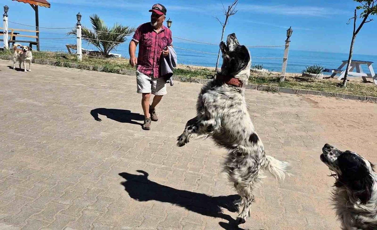 Dronsavar Köpekler Kapısuyu\'nda