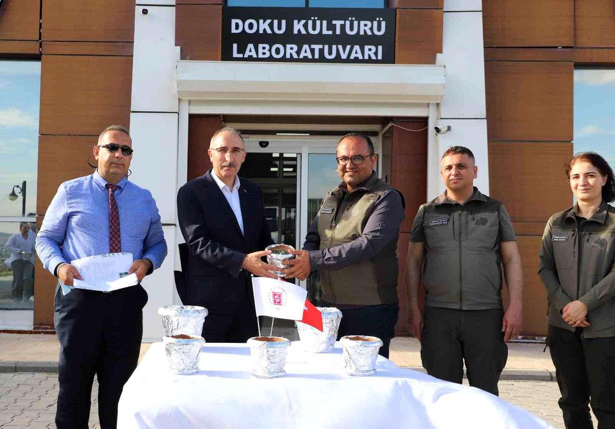 Fırat Üniversitesi\'nden Endemik Bitki Teslimatı