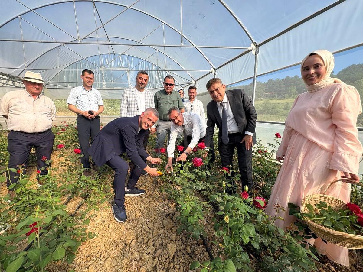 Kadın girişimci hibe desteğiyle Kocaeli\'nin ilk gül serasını kurdu