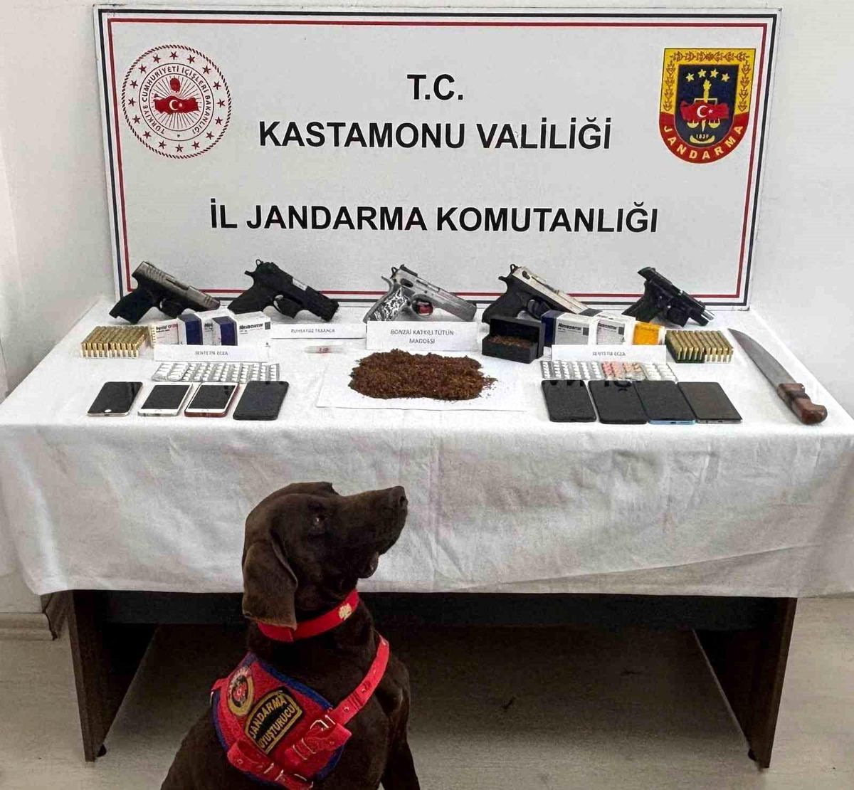 Kastamonu\'da Narkotik Operasyonu: 3 Tutuklama