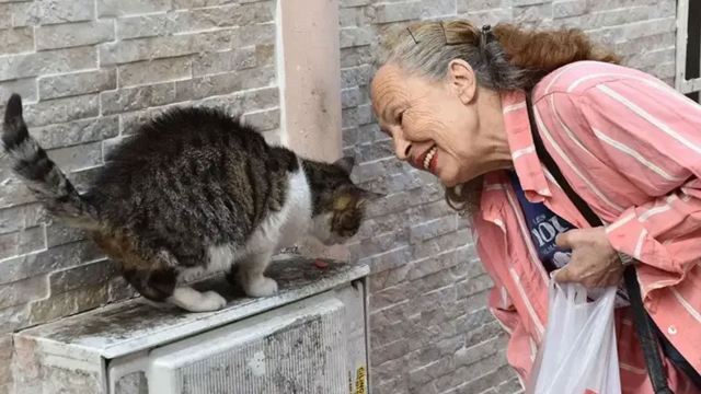 Yeşilçam efsanesi 'Panter Emel' hayatını kaybetti