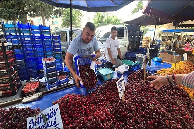 Kiraz fiyatı 70 liraya kadar düştü