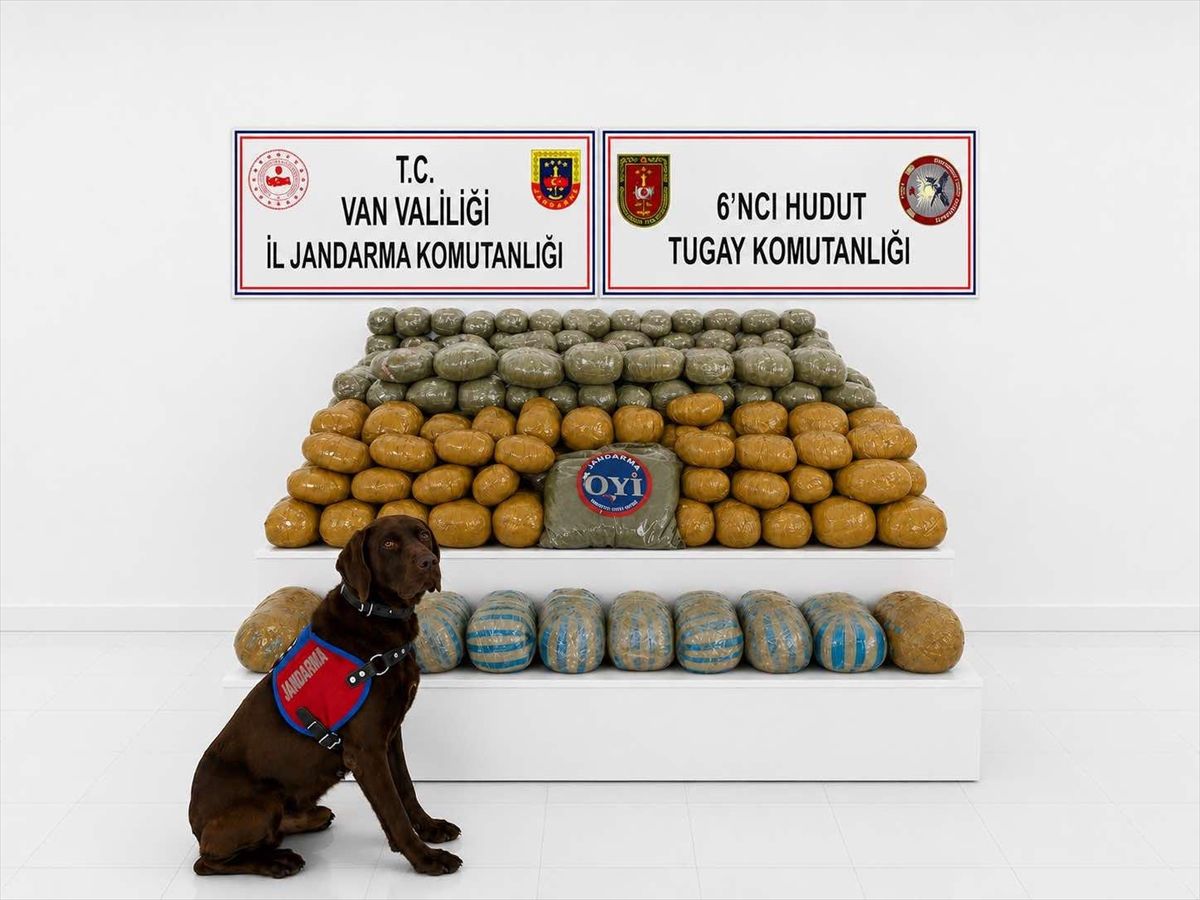 Van\'da 291 Kilogram Esrar Ele Geçirildi